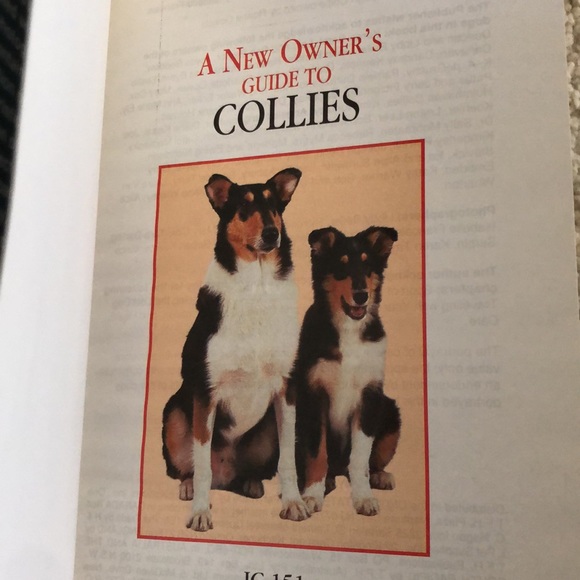 A New Owners Guide to Collies-an everything you need Collie dog book - Picture 4 of 10